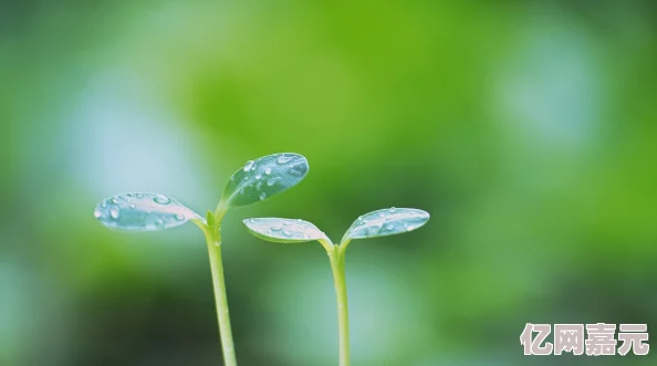 双人床上拔萝卜的技巧和注意事项：网友分享经验，强调舒适环境与沟通的重要性，助你轻松享受乐趣！