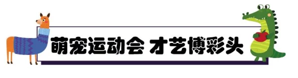 爱情鸟免费论坛二全新功能上线，用户互动体验大幅提升，精彩活动等你参与，快来加入我们吧！