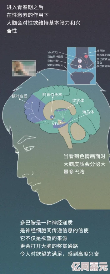 色黄网站aaaaaa级毛片最新研究显示网络成瘾与大脑变化有关