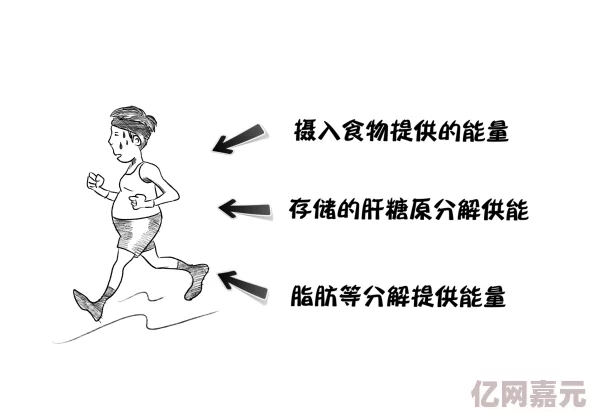 体内s尿高h调教通过科学方法提升身体健康，增强自我管理能力，让我们一起追求更好的生活品质与积极向上的心态