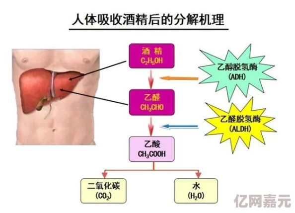 体内s尿高h调教通过科学方法提升身体健康，增强自我管理能力，让我们一起追求更好的生活品质与积极向上的心态