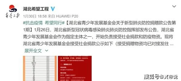 网友热议：艾尔登法环中哪个骨灰更实用？深度评价与推荐解析