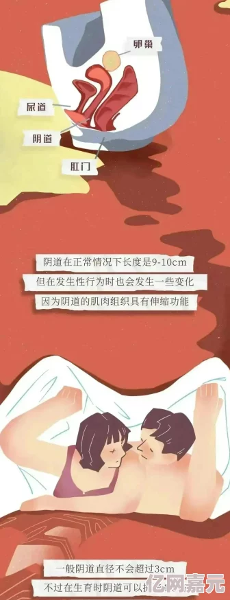 男的j放进女人的j的视频健康教育与性知识普及