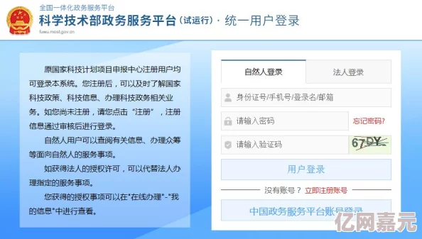 日本高清免费h色视频在线观看新功能上线用户体验大幅提升