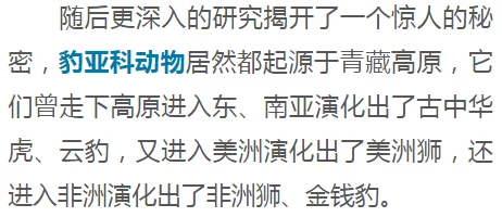 二柱子的东西真大惊爆！科学家发现其实际高度超出预期达数十米，可能改变我们对古代建筑的理解与认知