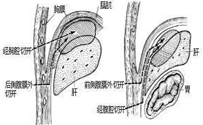 亲胸揉胸膜下刺激娇喘高清网友推荐这部作品画面精美情节紧凑让人欲罢不能绝对值得一看不容错过的精彩内容