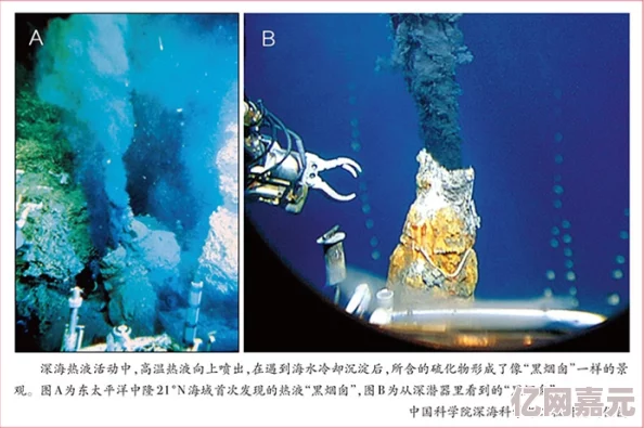 太深了要喷出来了glfuta最新研究表明深海生物的繁殖方式令人震惊