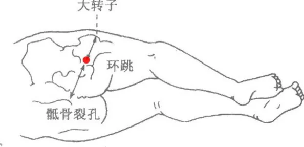 网友热议：探索艾尔登法环，大蛇出没的具体位置点附近全揭秘