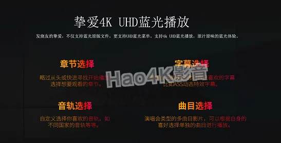 日本中文字幕乱码aa高清电影 观影指南：如何避免字幕问题并享受优质电影体验