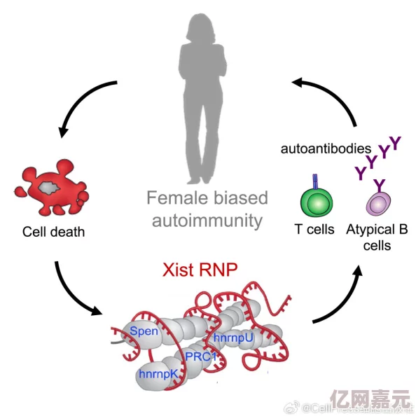 女女女女女女bbbbbβ最新消息中国科学家发现新型抗癌化合物，有望提高疗效