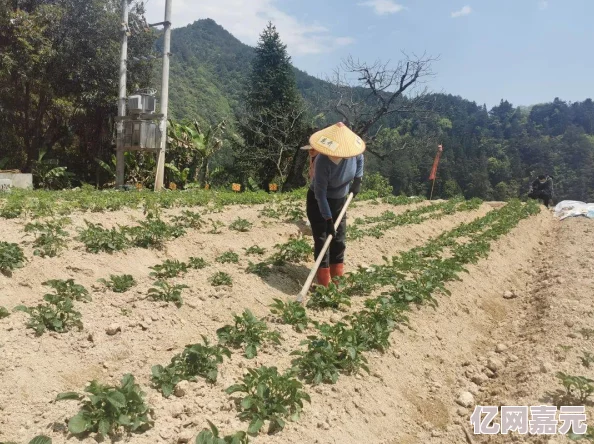 死亡荒地生存中文版：网友热评，极限环境下的艰难求生之旅挑战你的生存智慧！